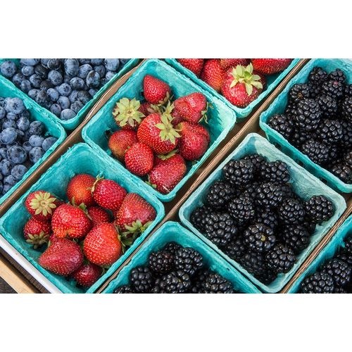 Horton, Janet 아티스트의 Issaquah-Washington State-USA Pints of freshly harvested strawberries작품입니다.